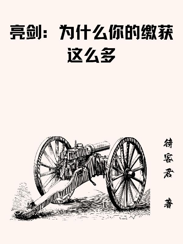 亮剑为什么能火